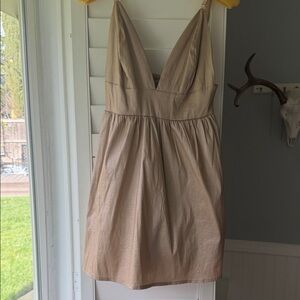 Windsor Shimmery Dress